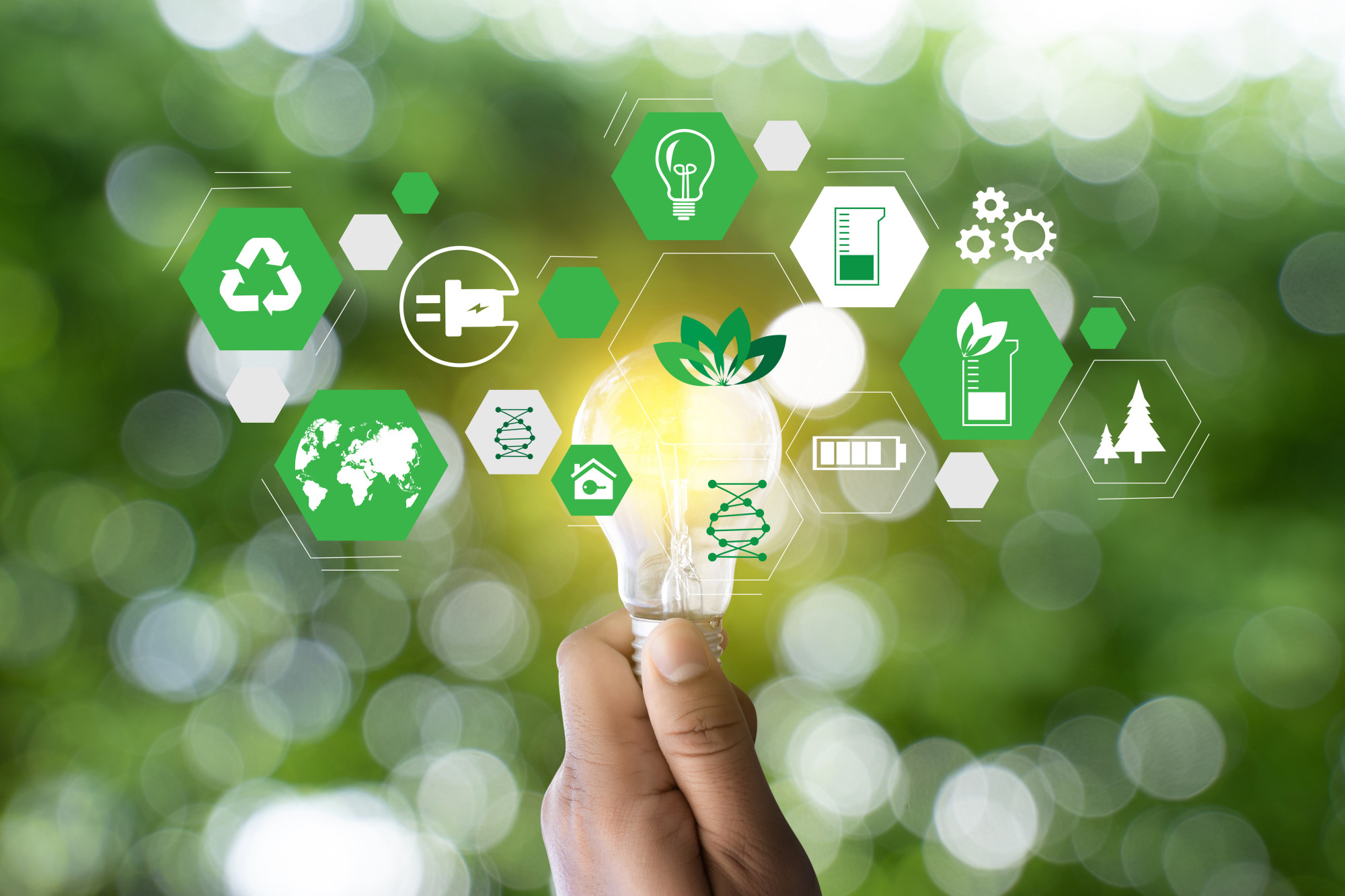 Sustainable Startups Why Every Startup Should Be a Green Business NuEnergy