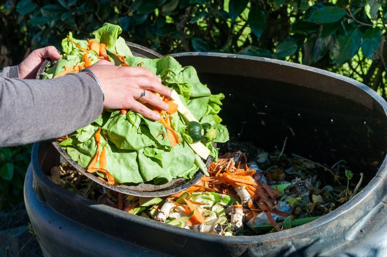 Composting 101: A Guide to Reusing Kitchen Scraps for Gardening